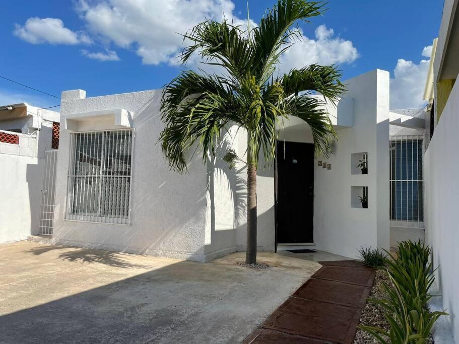 Casa en Puesta del Sol/Excelente Ubicación/2 Hab/Wifi/Netflix/Super comoda Vila Mérida Exterior foto